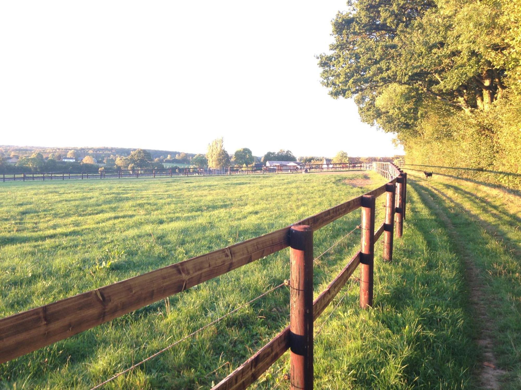 Sainte-Gauburge-Sainte-ColombeLa Longere Galope别墅 外观 照片
